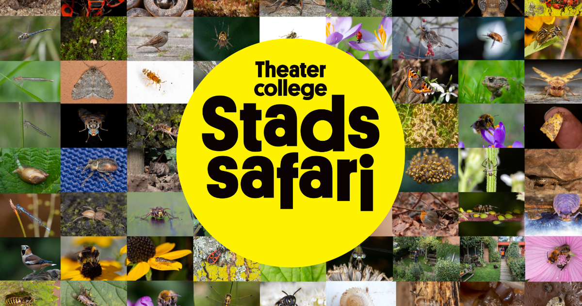 Stadssafari - Theatercollege van de makers van ‘De Nieuwe Wildernis’ en ‘De Wilde Noordzee’