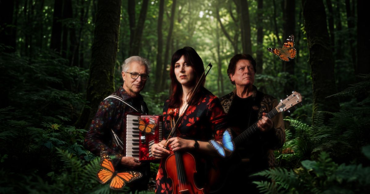 Verdronken Vlinder - Boudewijn de Grootmuziek